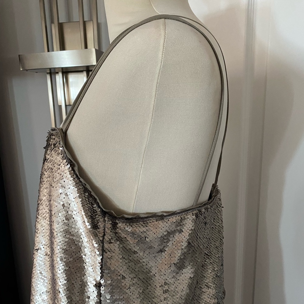NWT Banana Republic from TJ Maxx Sequin Dress - Picture 5 of 9